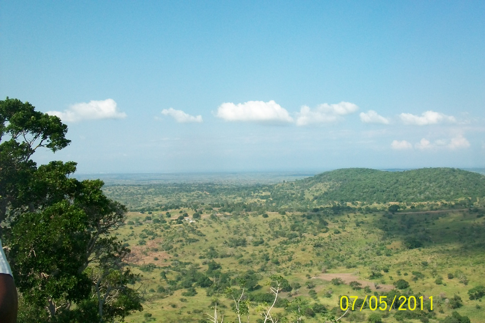 Natur pur.Shimba Hills...South coast of Kenya