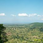 Natur pur.Shimba Hills...South coast of Kenya