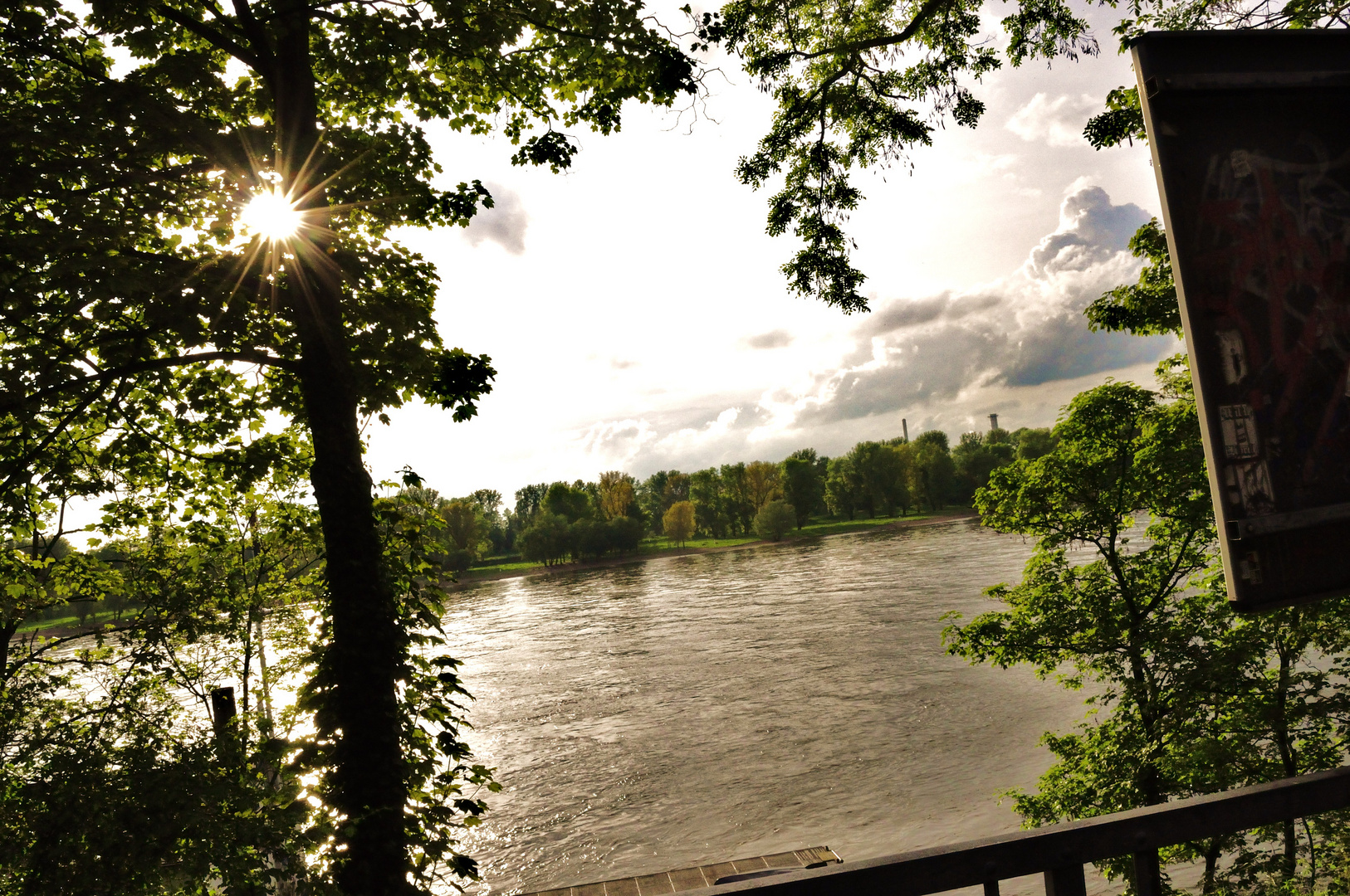 Natur-Rhein