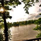 Natur-Rhein