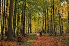 Natur-Romantik