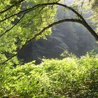 Natur rund um die Müngstener Brücke