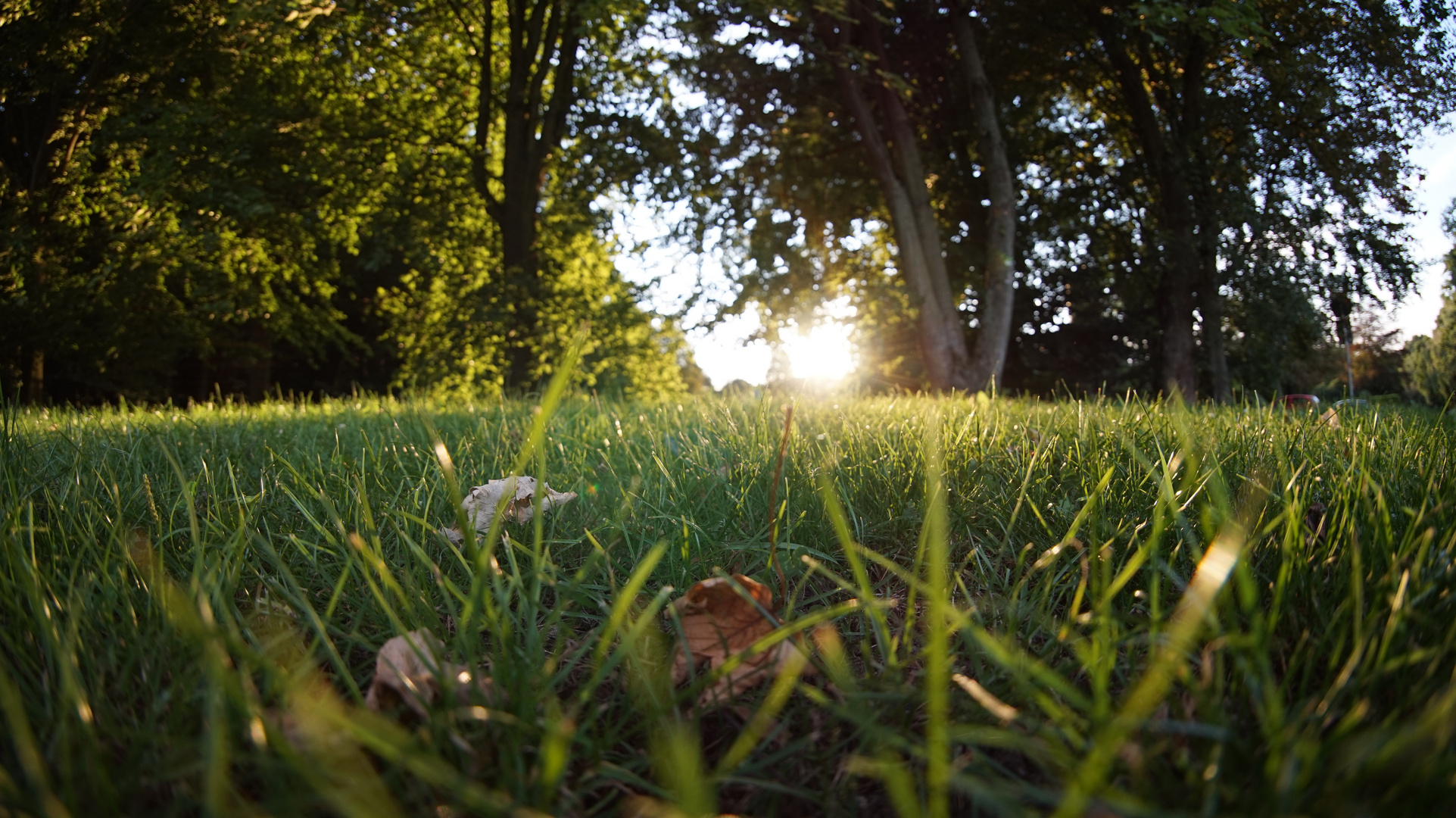 Natur - Samyang 8mm Fisheye