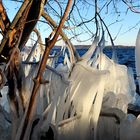 Natur-Schauspiel im Januar 2016 am Großen Plöner See