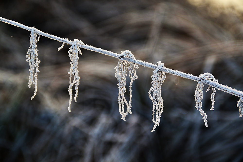 Natur-Schmuck