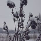 Natur-Schneeaufnahme