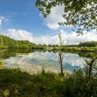 Natur, schön und friedlich.....