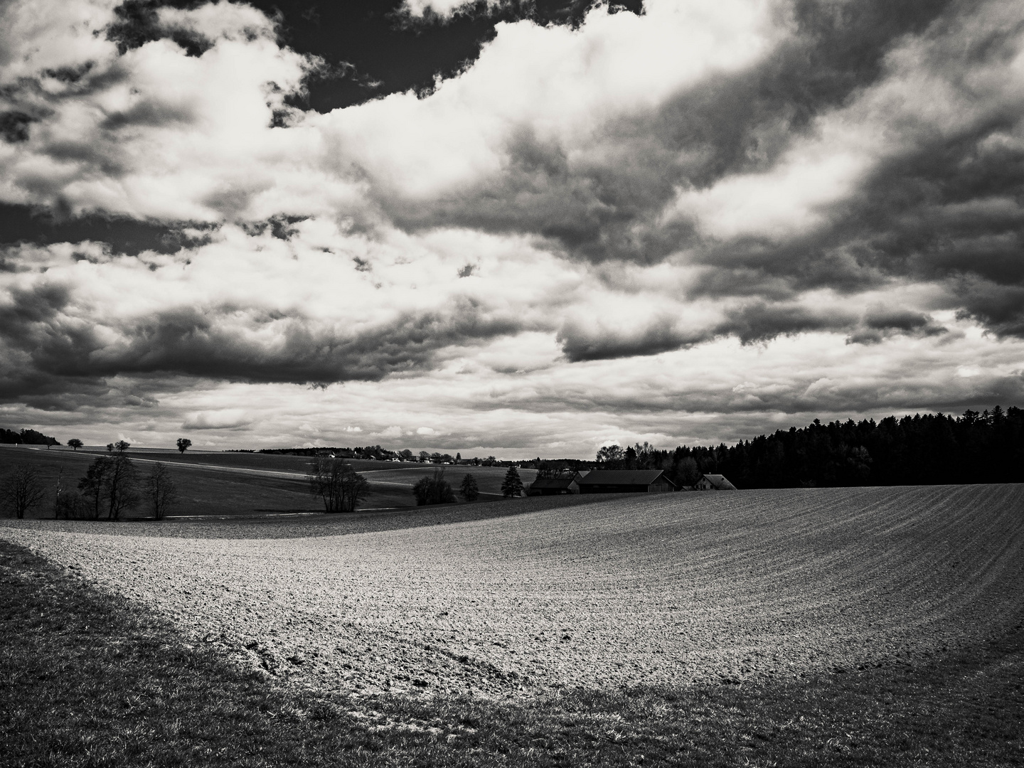 Natur Schwarz-Weiss 1