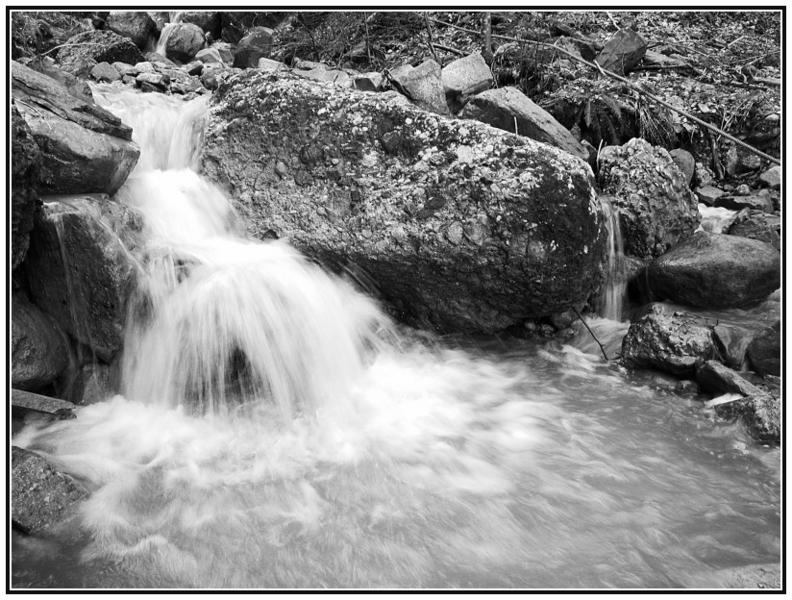 Natur schwarz-weiss