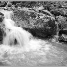 Natur schwarz-weiss