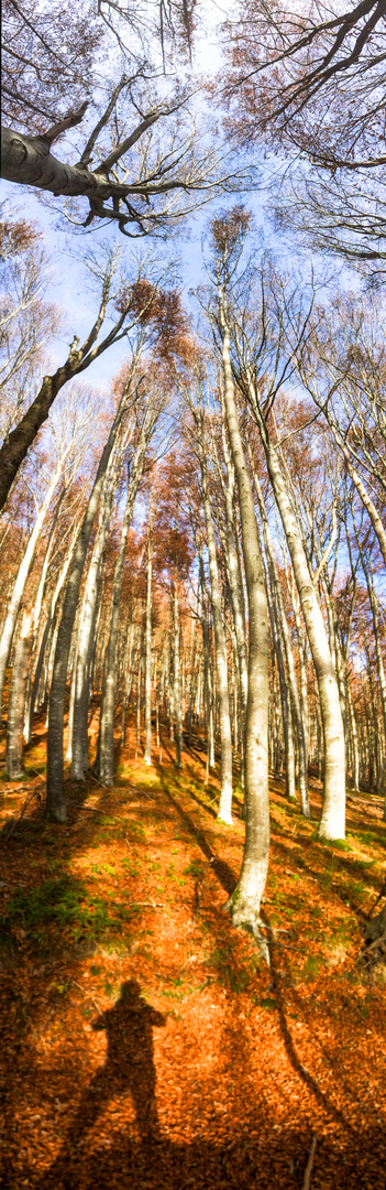 Natur-Selfie