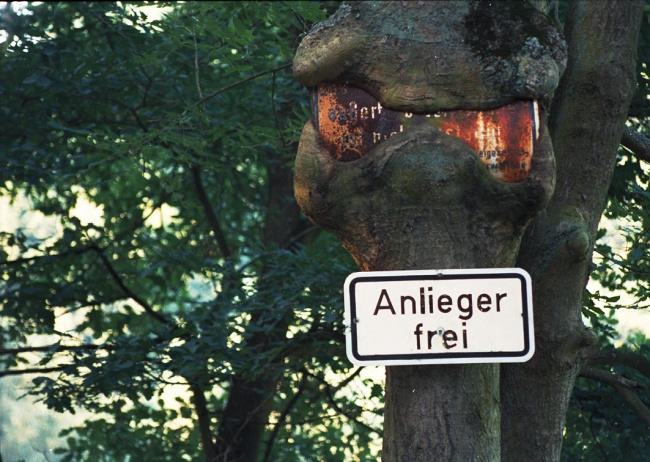 Natur  Siegt