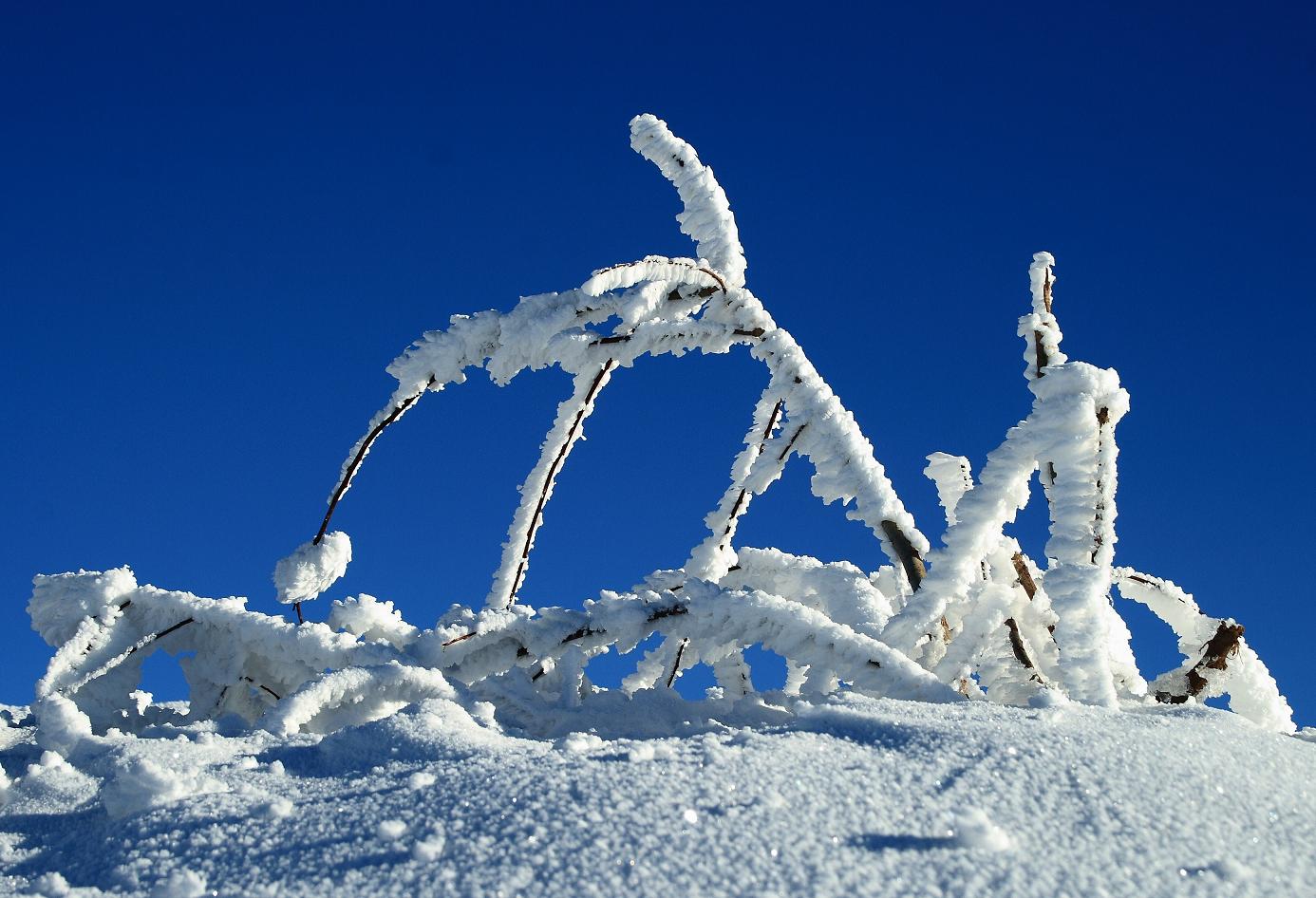 Natur-Skulptur 1