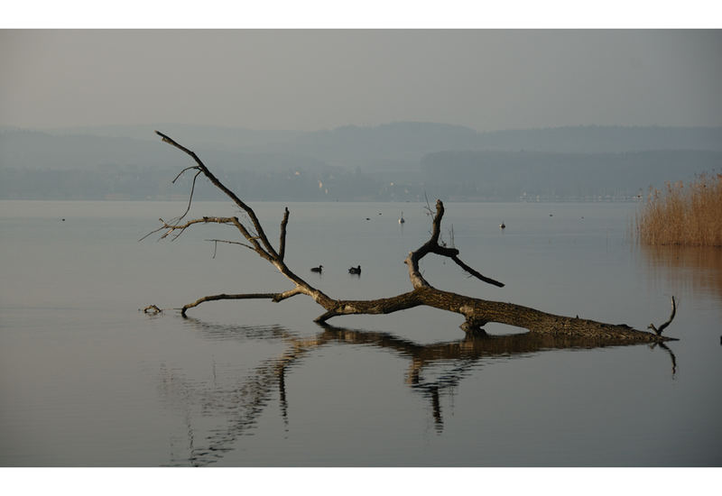 Natur-Skulptur