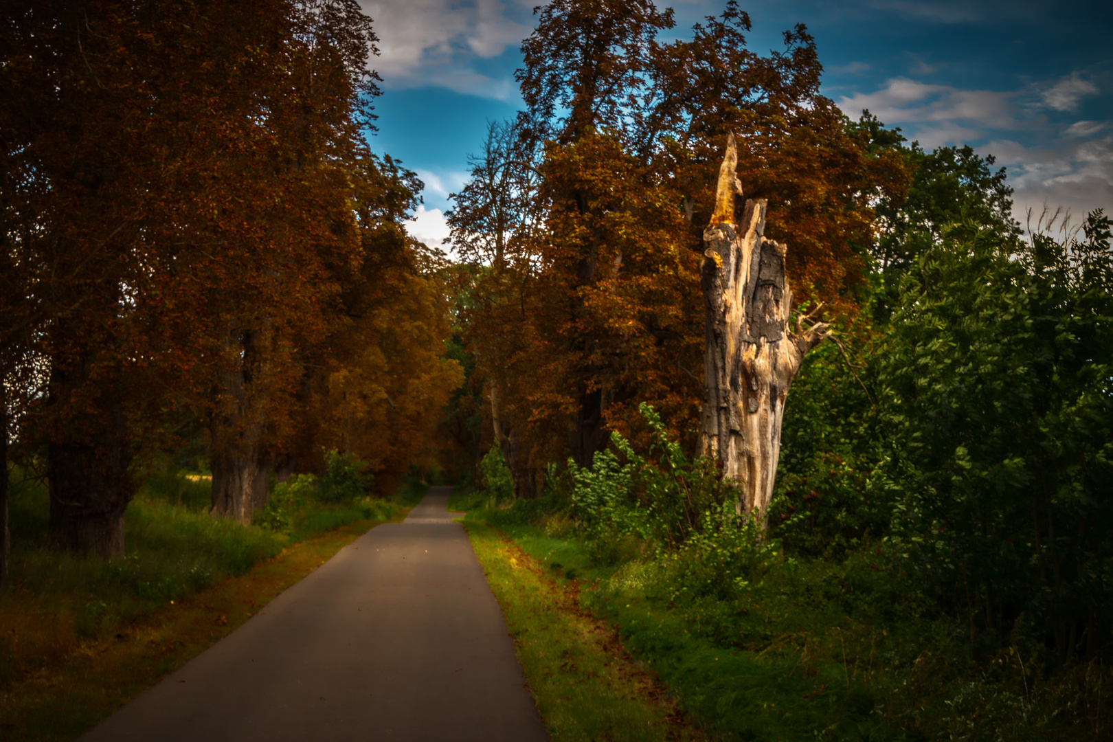 Natur - Skulptur