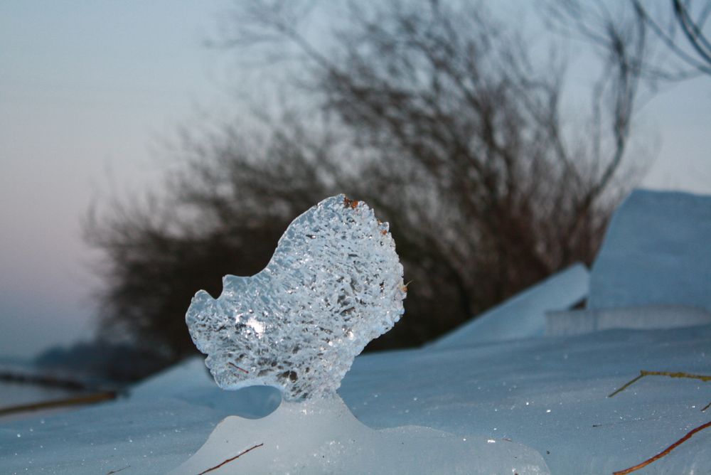 Natur Skulptur