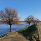 " Natur so schön"