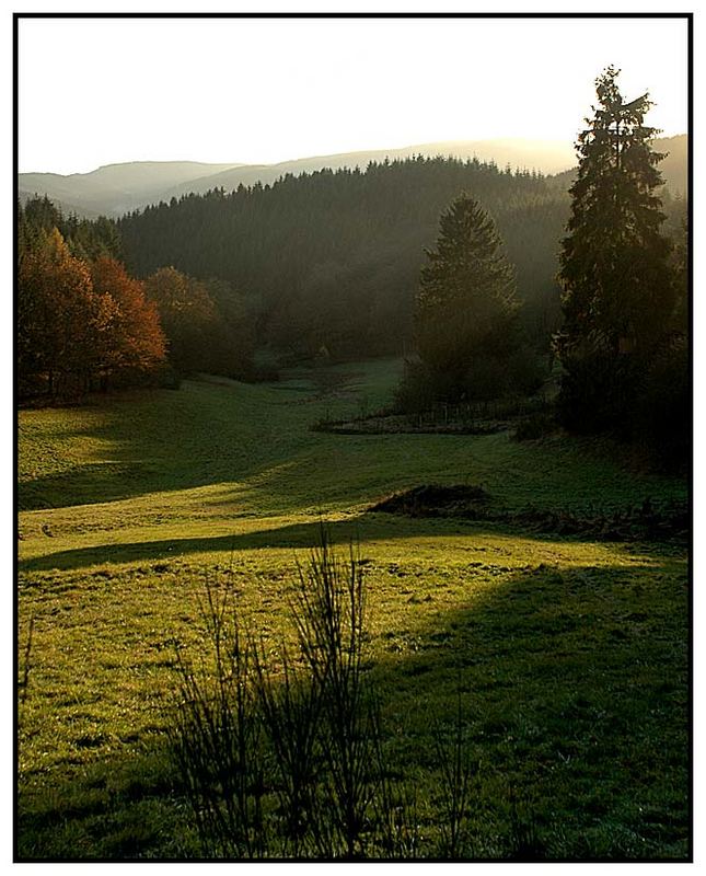 Natur soweit das Auge reicht