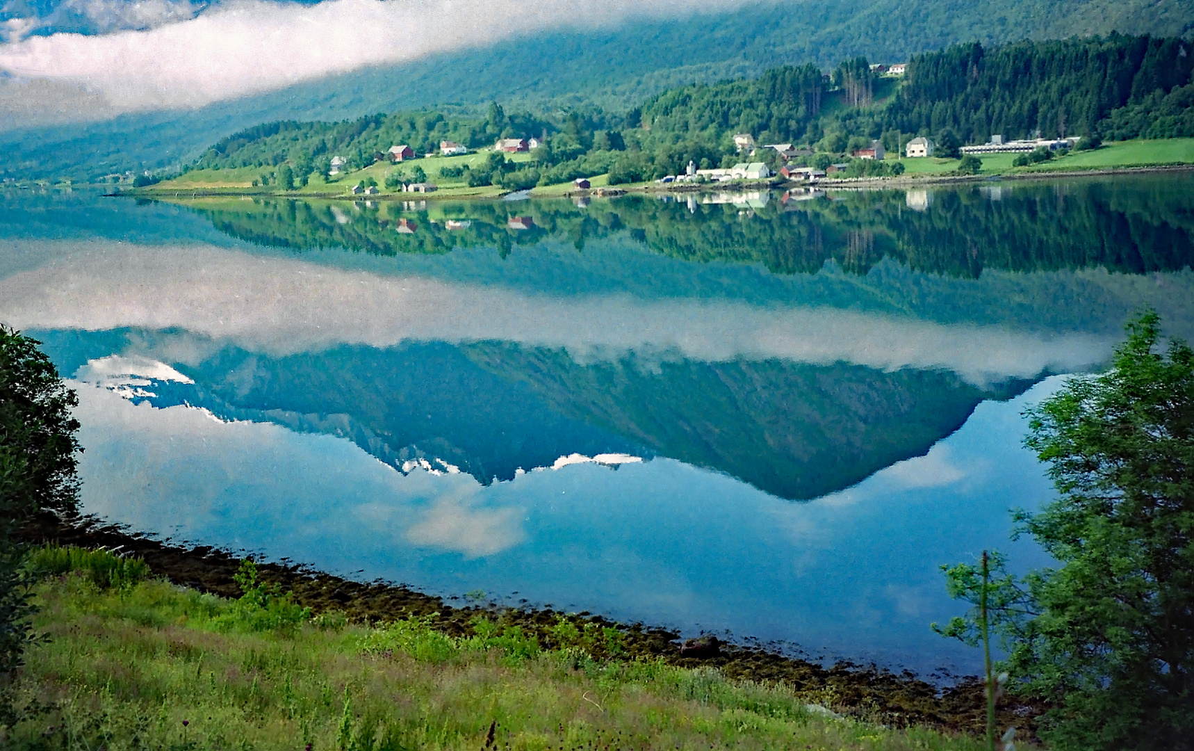 Natur spiegelt sich im See