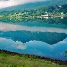 Natur spiegelt sich im See