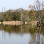 Natur-Spiegelungen