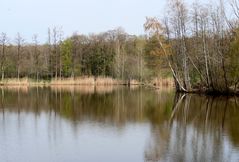 Natur-Spiegelungen