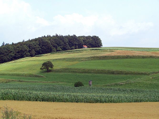 Natur spontan erlebt