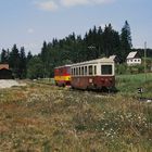 Natur statt Betonbahnsteige