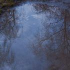 Natur steht Kopf