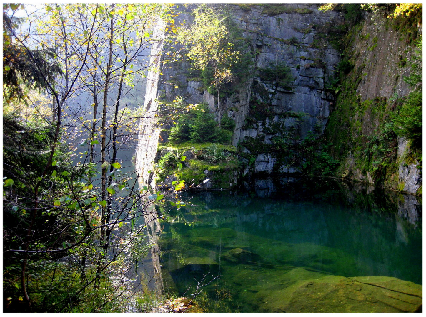 Natur-Stillleben