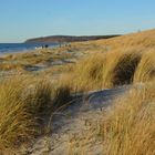 Natur Strand Hiddensee 