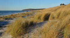 Natur Strand Hiddensee 