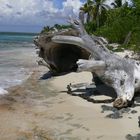 Natur Strand im Urlaub