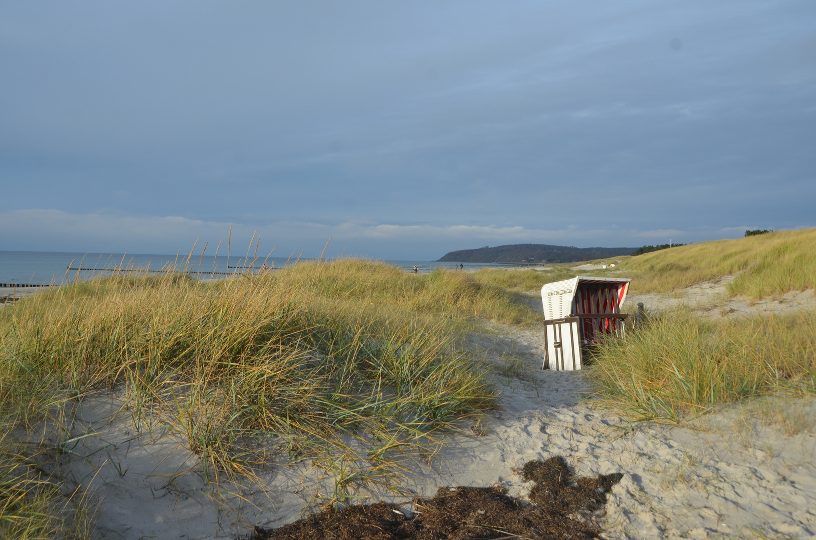 Natur-strand  Insel Hiddensee