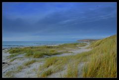 Natur-strand  Insel Hiddensee