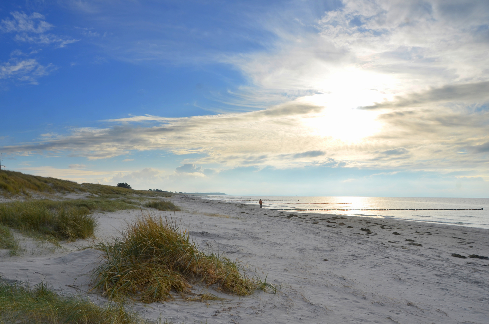 Natur-strand  Insel Hiddensee