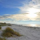 Natur-strand  Insel Hiddensee