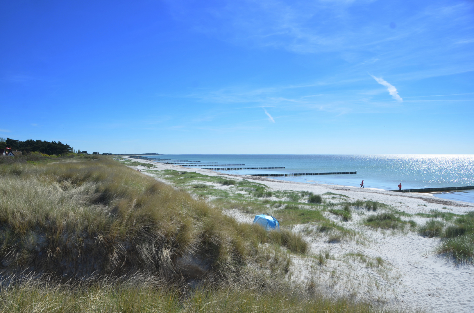 Natur-Strand Insel Hiddensee Mai .2024