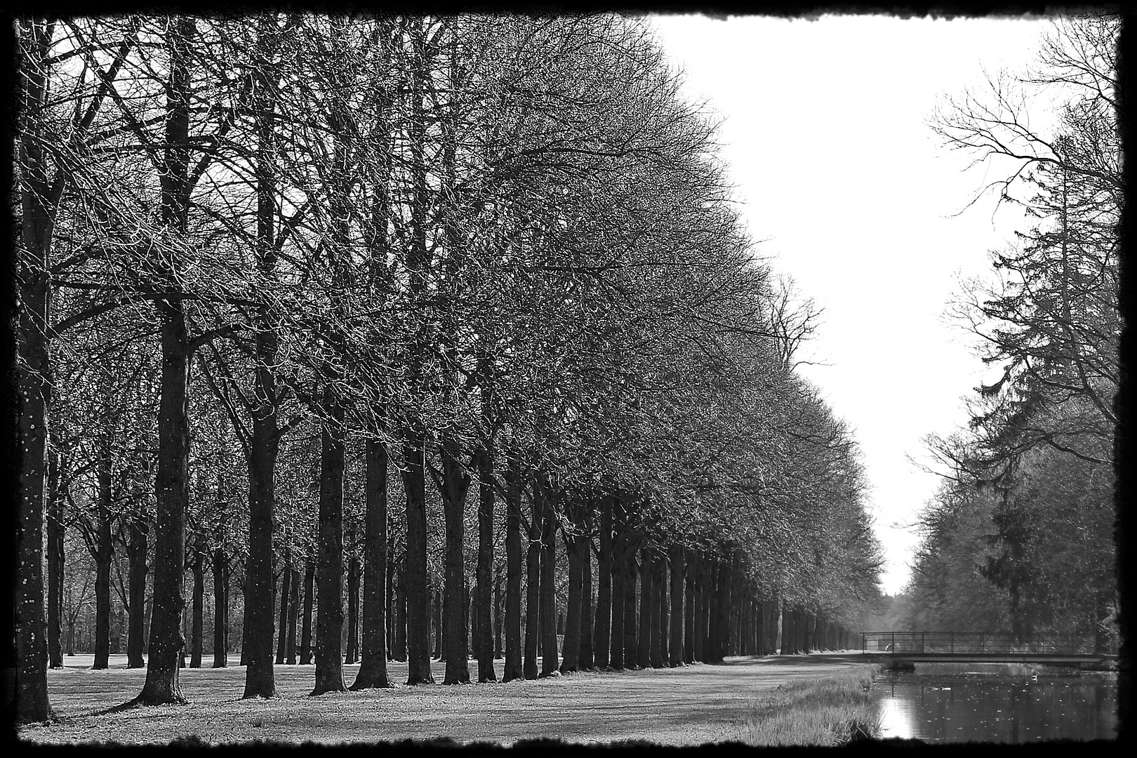 Natur Struktur - Struktur Natur