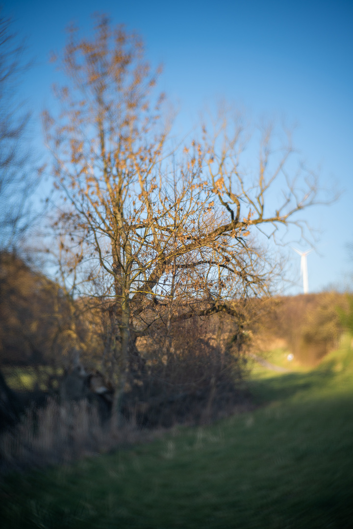 Natur & Technik