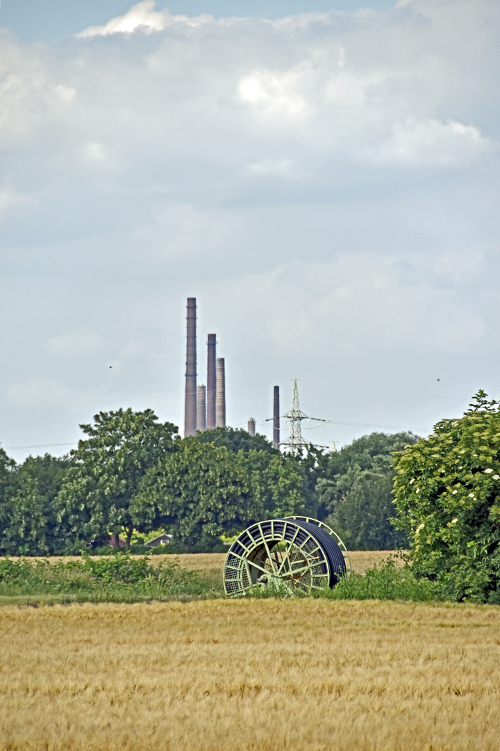 Natur trifft Industrie