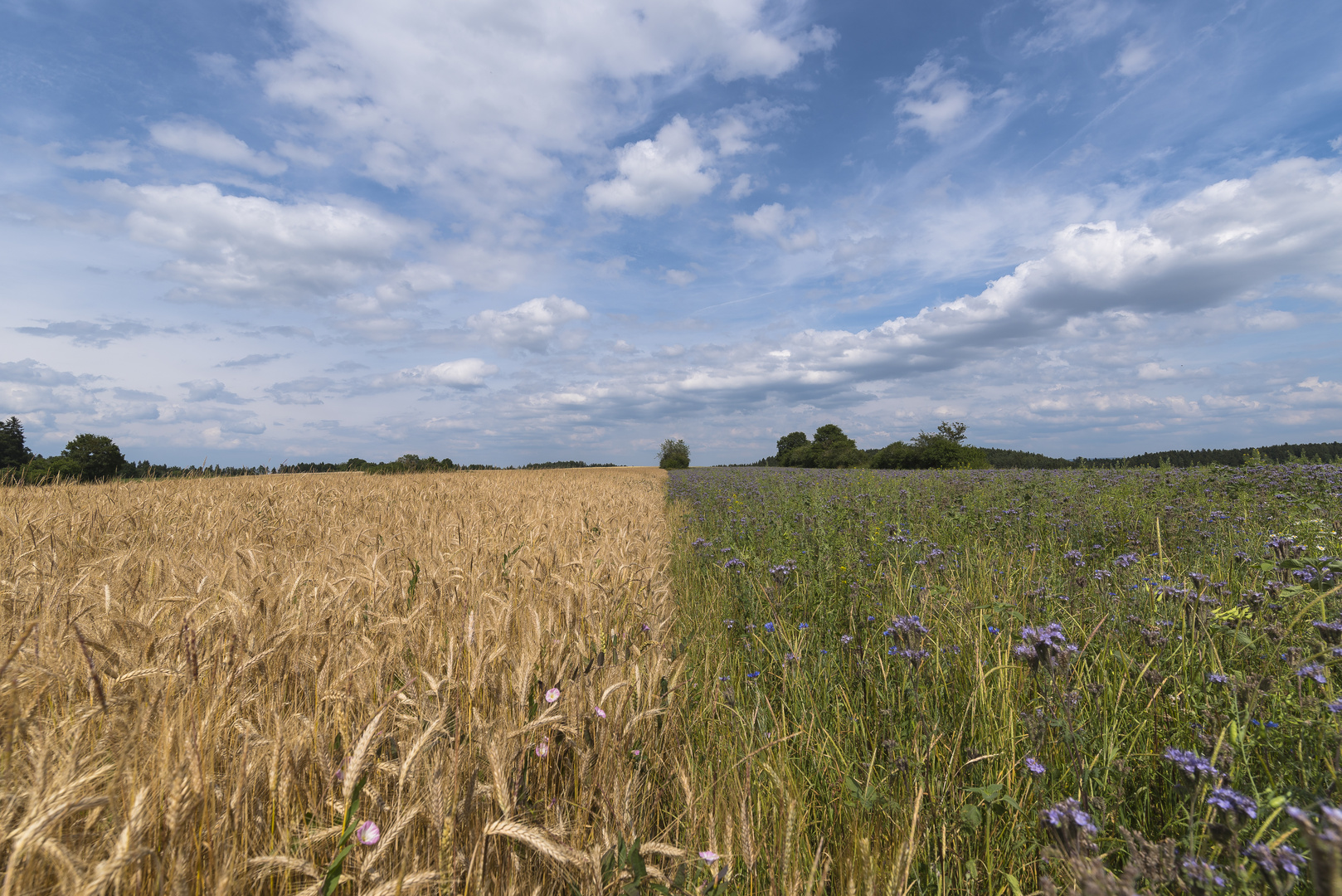 Natur trifft Kultur