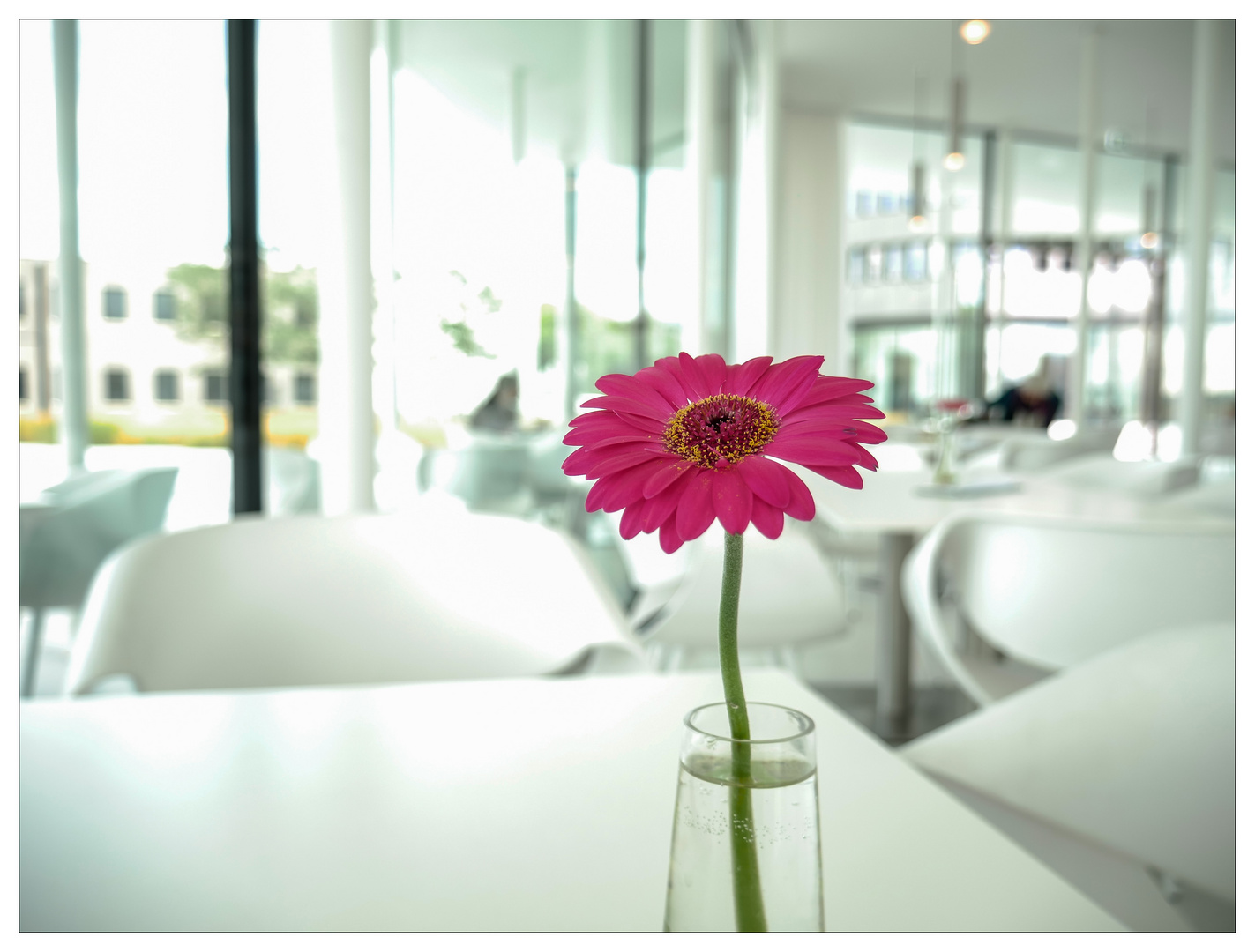 Natur trifft Kultur: Cafeteria in der Leica-Welt Wetzlar