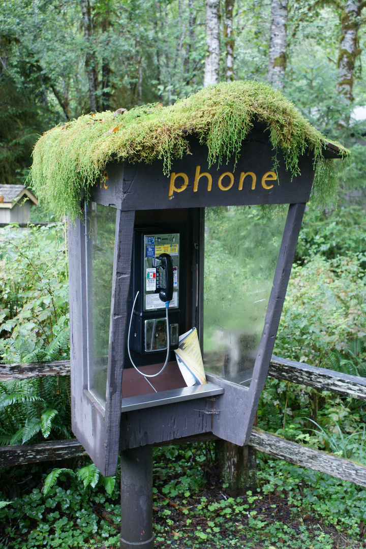 Natur trifft Technik