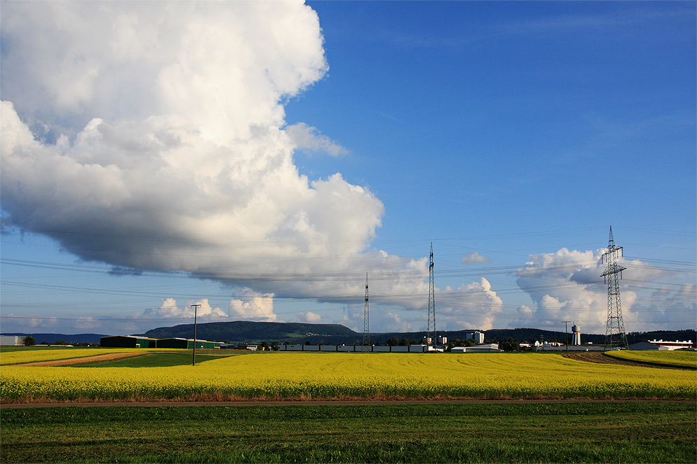 Natur trifft Technik