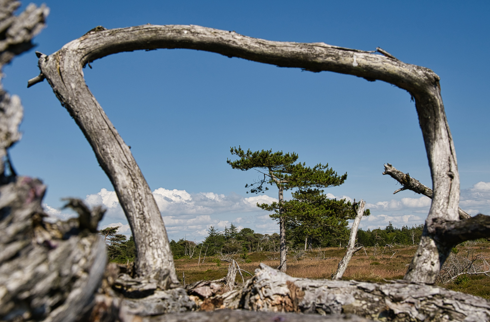 Natur TV