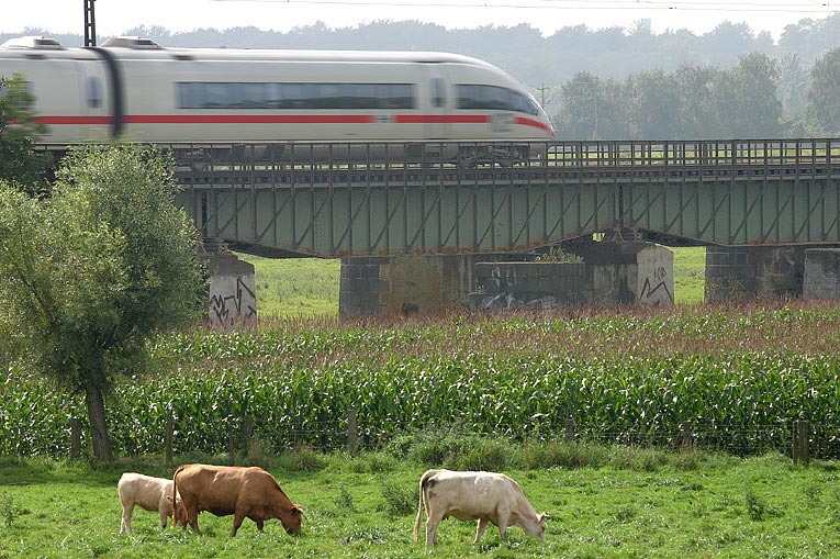 Natur u. Technik