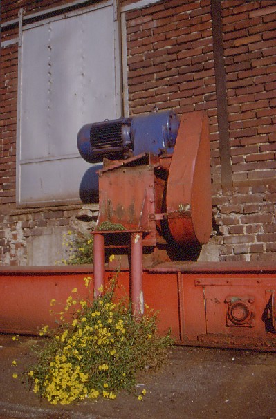 Natur über die Industrie