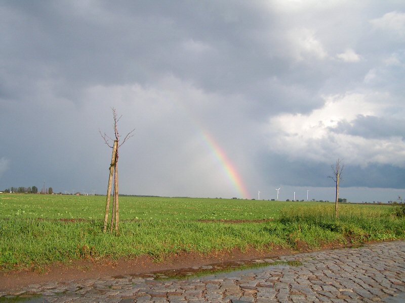 Natur über Technik