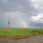 Natur über Technik